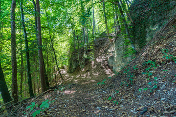 Fototapeta premium Along the panorama path in Heiligenberg