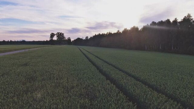 Factory Chimneys Beyond The Forest Horizon 4K Aerial Dolly In And Pedestal Up Shot