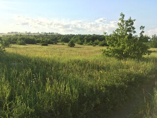 grass field and high ground