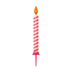 Birthday candle vector icon.Cartoon vector icon isolated on white background birthday candle.