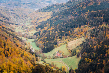 montagnes et forêt en automne. Vosges en automne