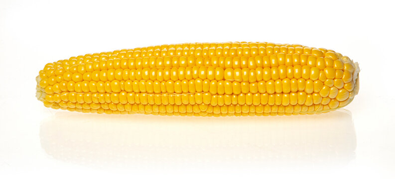 Yellow Corn Isolated On White