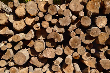 pile of wood logs background
