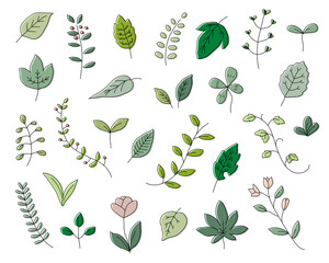 手描きの植物のイラストのセット 葉 花 シンプル 素材 おしゃれ 葉っぱ Wall Mural Yugoro