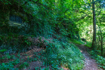 Along the panorama path in Heiligenberg