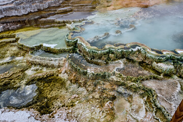 Minerva Terrace, Yellowstone National Park, Wyoming, USA