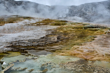Minerva Terrace, Yellowstone National Park, Wyoming, USA