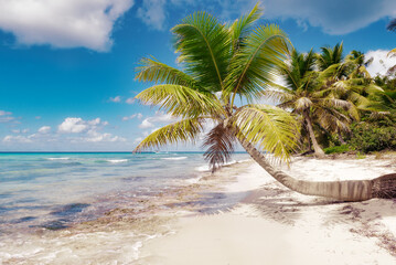 Tropical white sandy beach with palm trees.  Serenity beach at sunrise. Beautiful holiday background.
