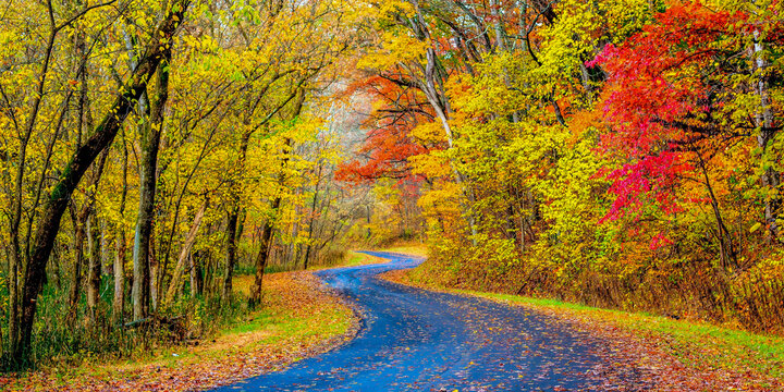 Winding road through autumn leaves in Hocking Hills Ohio