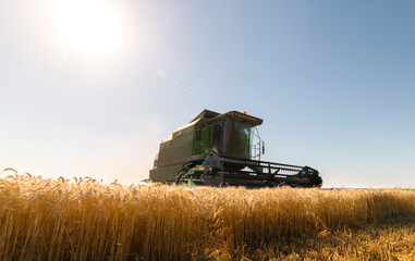 Harvester at work in summer sun