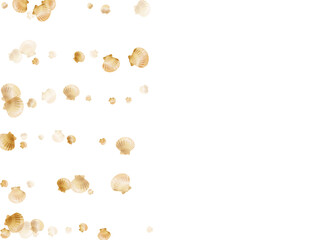 Gold seashells vector, golden pearl bivalved mollusks. 