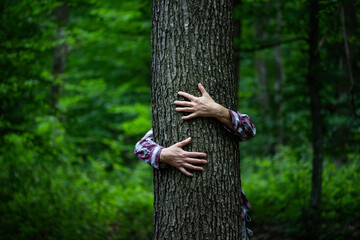 woman hand embracing a tree in green forest - nature loving, fight global warming, save planet earth
