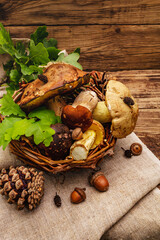 Fresh forest mushrooms. Assorted gourmet porcini and boletus, oak leaves
