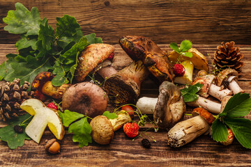 Fresh forest mushrooms. Assorted porcini, boletus, russula, blusher, oak leaves, strawberries