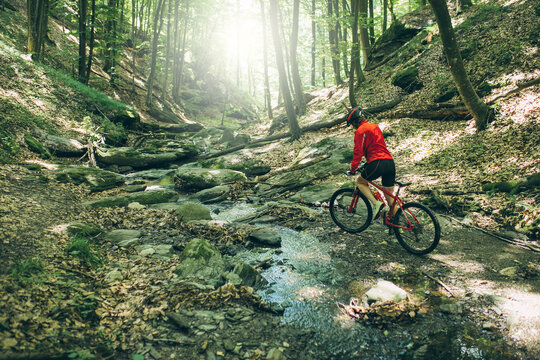 Mountain Bike cyclist woman riding bike at forest. Outdoor cyclist woman enjoying at nature.