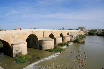 Fototapeta premium Puente Romano Córdoba