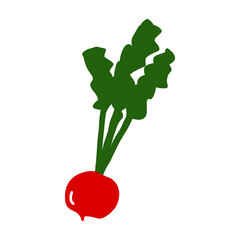 ラディッシュ(赤かぶ)のカラーイラスト素材【白背景】