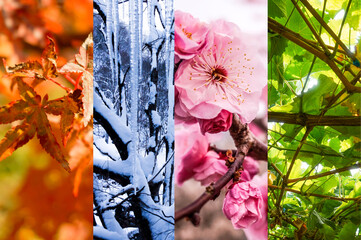 春夏秋冬のコラージュ背景画像 Wall Mural Wallpaper Murals Goniva74 春夏秋冬のコラージュ背景画像 Wall Mural Wallpaper Murals Goniva74