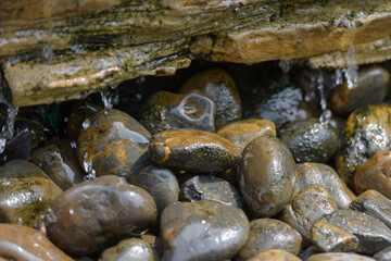 Portrait of pebbles with drops of water outdoors