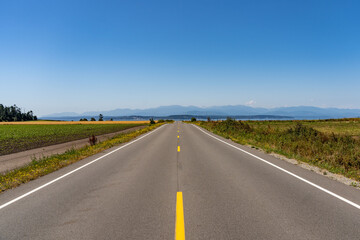 Wide open road. Symmetrical view down a two-lane road, flat landscape with fields either side and big blue sky and the sea at the end. Coupeville, Whidbey Island, Washington, USA.