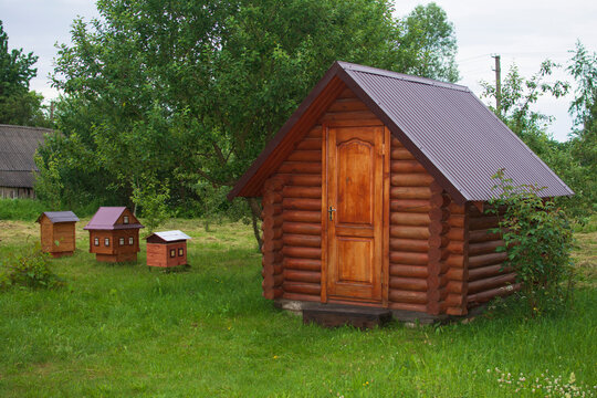 Apiary with pretty wooden house for apitherapy among greenery in summer evening.