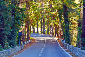 Carretera de montaña, El Montseny Barcelona España
