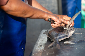 Fresh fish being cut, filleted and prepared