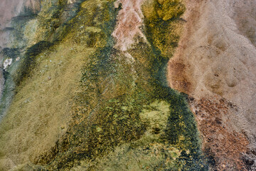 Colorful bands of thermophilic bacteria in Yellowstone National Park