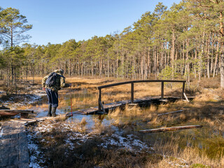 Fototapeta na wymiar a human figure on a wooden pedestrian footbridge in a swamp, traditional swamp vegetation background