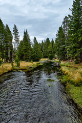 Obraz premium Yellowstone National Park - madison River, USA