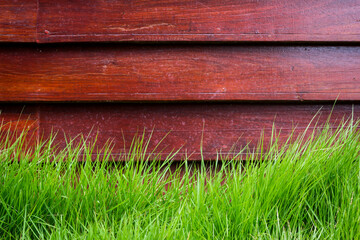 wooden wall background