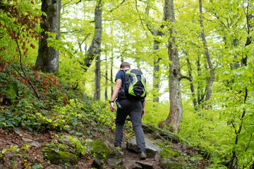 climbing mountains through the forest. a guy with a backpack walks on a rocky path between tall trees