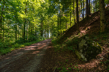 Fototapeta na wymiar Along the panorama path in Heiligenberg