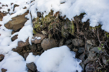 Earth with moss, rock and thawing snow 