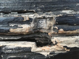 old wood texture