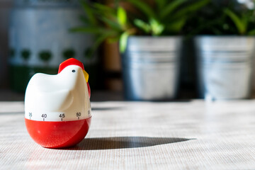 Kitchen timer shaped like a chicken on a sunny kitchen counter top