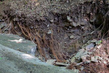 Road damage and destroyed blank roots after a flood