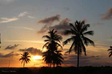 Fototapeta na wymiar beautiful coconut trees and sunset