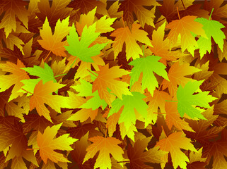 autumn leaves background