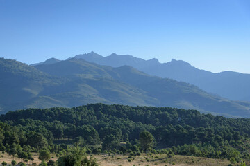 Fototapeta na wymiar View from Candeleda of the Sierra de Gredos, Avila, Castilla Leon, Spain, Europe. Mountain surrounded by trees.