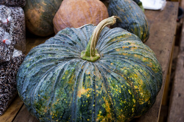 Green pumpkin