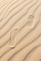 Fototapeta na wymiar Footprints are stepping on brown sand , small step to future step has background is blue sky in fresh day. hope in life concept.