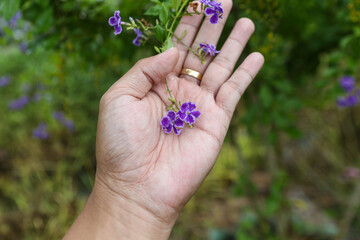 hand with flower