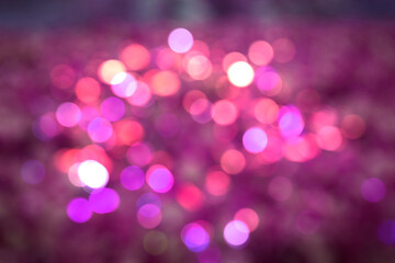 defocused background