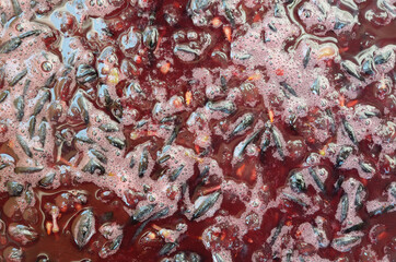 Natural background of red juice, dark blue peel, pulp, seeds and foam. Gruel of crushed grapes. Grape pulp.