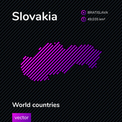 Vector map of Slovakia with geleral information of country