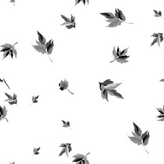 Obraz premium Seamless with the image of the falling of autumn leaves monochrome. Vector illustration. Black-and-white color scheme.