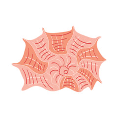 Spiral seashell isolated on white background. Cartoon underwater object. Flat vector illustration.