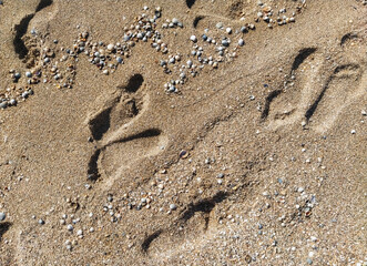 Many prints of male feet on the sea sand. Walk barefoot along the shore with footprints. Tourist rest.