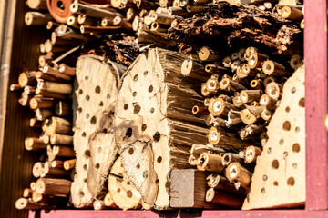 home made insect hotel in garden